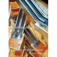 China elevator manufacture Escalator, Passenger Escalator with Japan fj technology